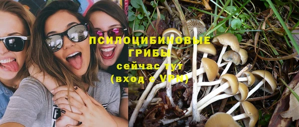 прущие грибы Белоозёрский