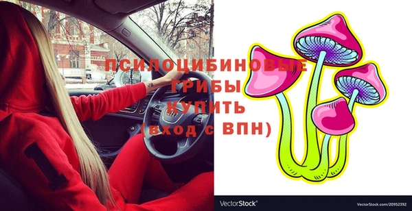 MDMA Беломорск