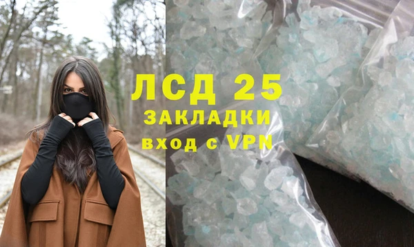 прущие грибы Белоозёрский